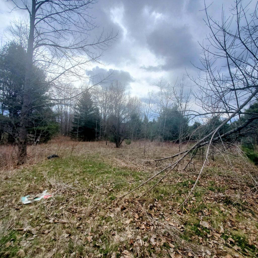 Photo of Lot 5 Dexter Road, Cambridge, ME 04923 (MLS # 1659312)