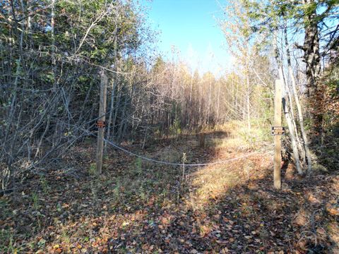 Photo of Lot 18-1 Mattamiscontis Road, Howland, ME 04448 (MLS # 1642305) Photo of Lot 18-1 Mattamiscontis Road, Howland, ME 04448 (MLS # 1642305)
