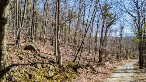 Photo of 0 King Street/Benny Babb Hill Road, Hiram, ME 04041 (MLS # 1657118)