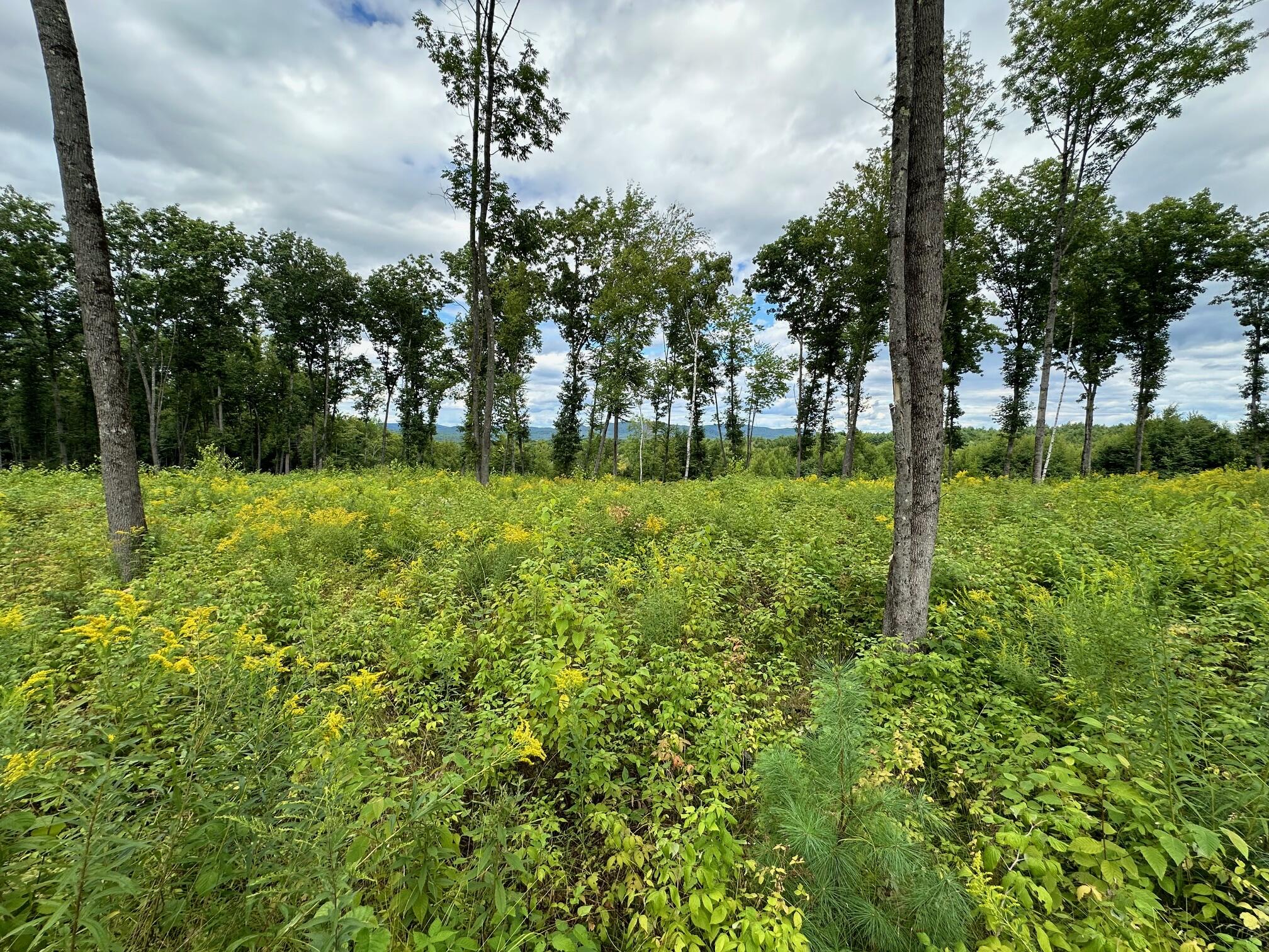 Lot #11 Jordan Heights Road