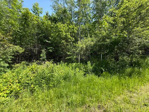 Photo of 158-050-3 VFW Street, Lincoln, ME 04457 (MLS # 1663711)