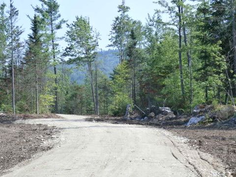 Photo of 34.57 Concord Pond Road, Woodstock, ME 04255 (MLS # 1635977)