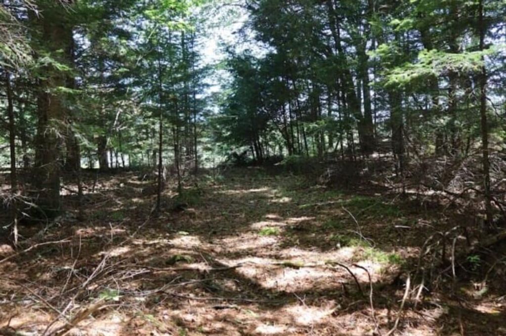 Photo of 0 Beechwood Street, Warren, ME 04864 (MLS # 1644717)