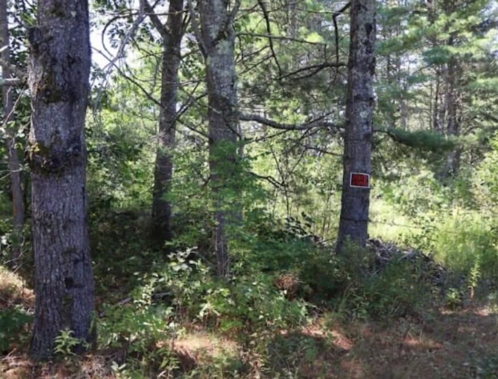 Photo of 0 Beechwood Street, Warren, ME 04864 (MLS # 1644717)