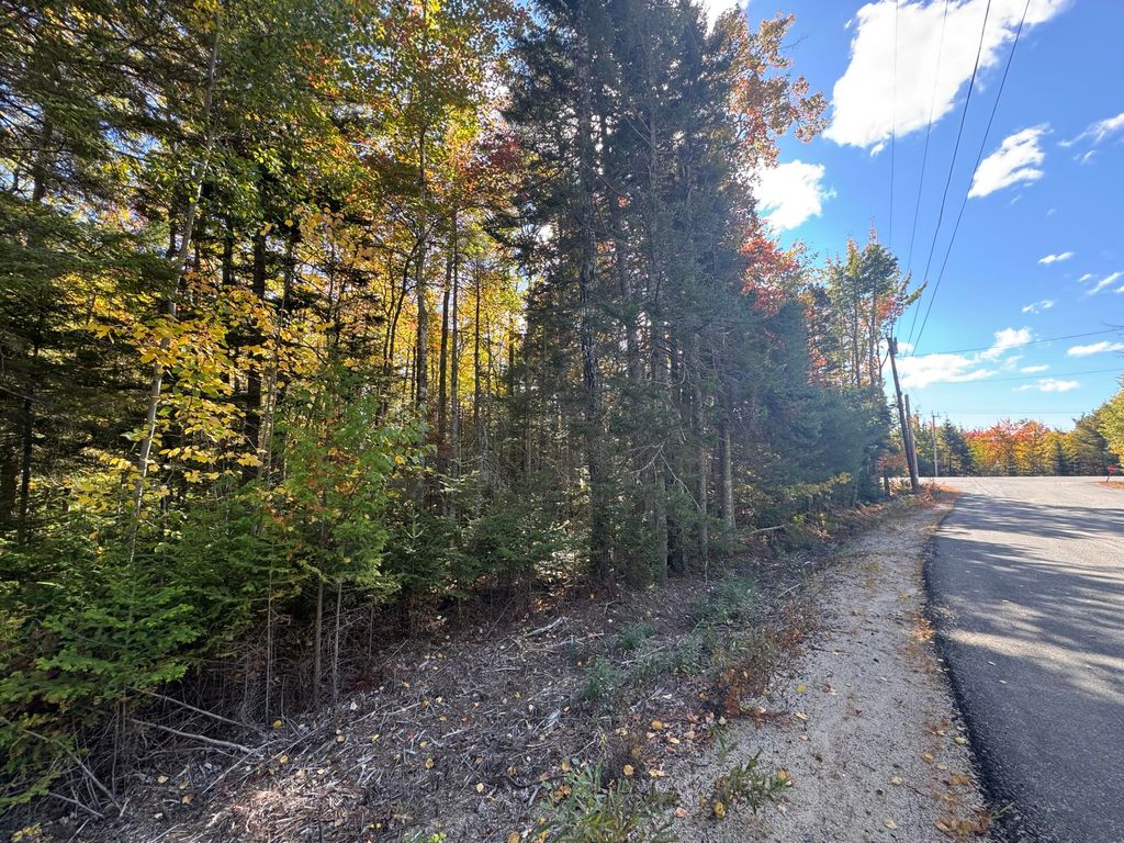 Photo of 023-003-4 Walters Road, Gouldsboro, ME 04607 (MLS # 1640210)