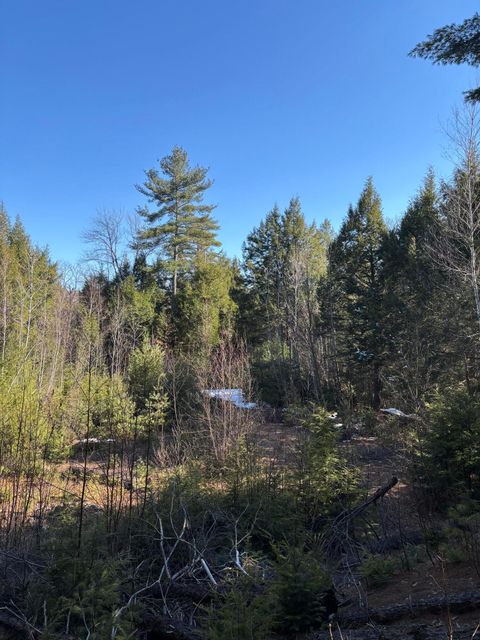 Photo of 7 Bog Brook Loop, West Paris, ME 04289 (MLS # 1657427)