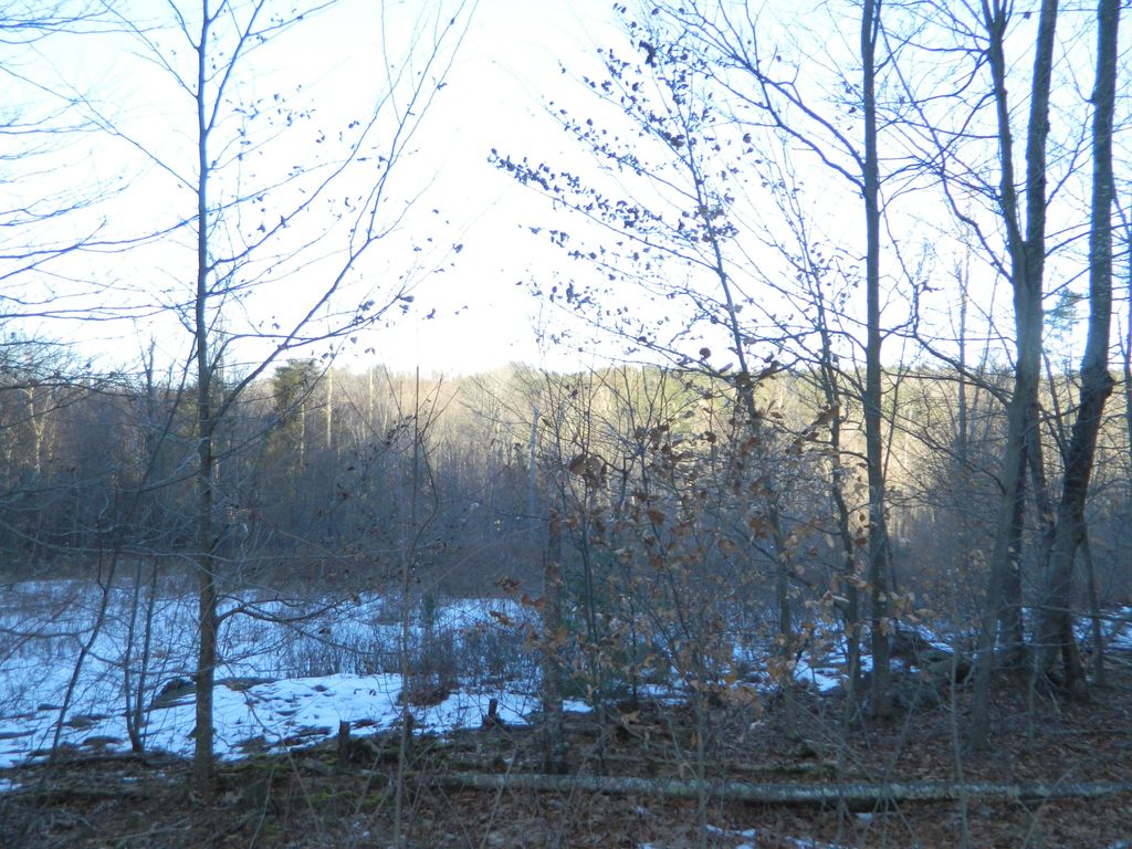 Photo of R6-41-S5 Ridley Road, Sanford, ME 04083 (MLS # 1649542)