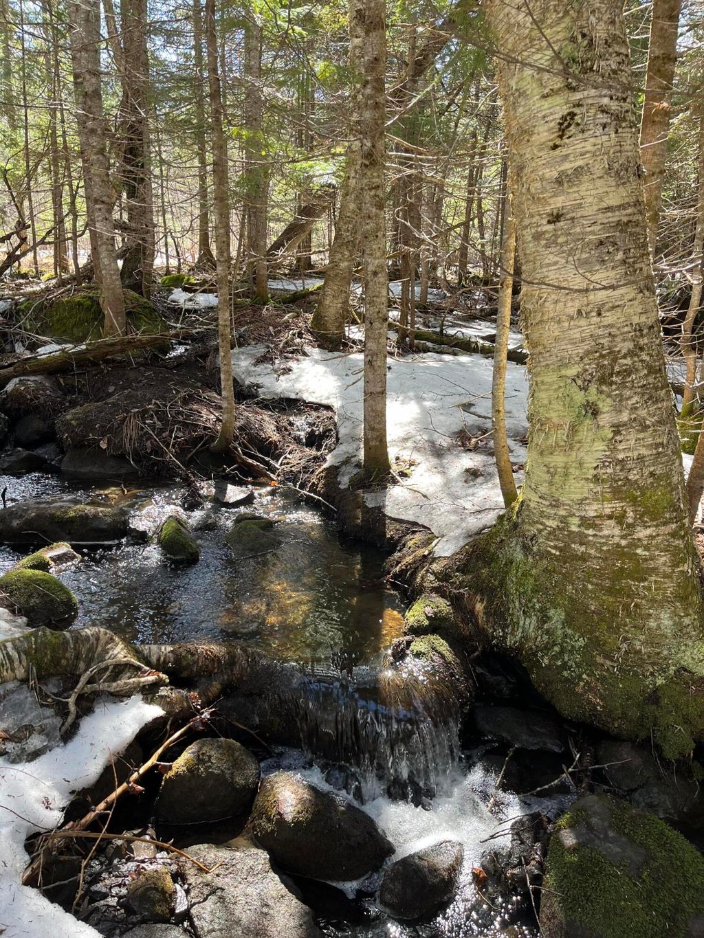 Photo of 620 Dallas Hill Road, Dallas Plt, ME 04970 (MLS # 1649614)