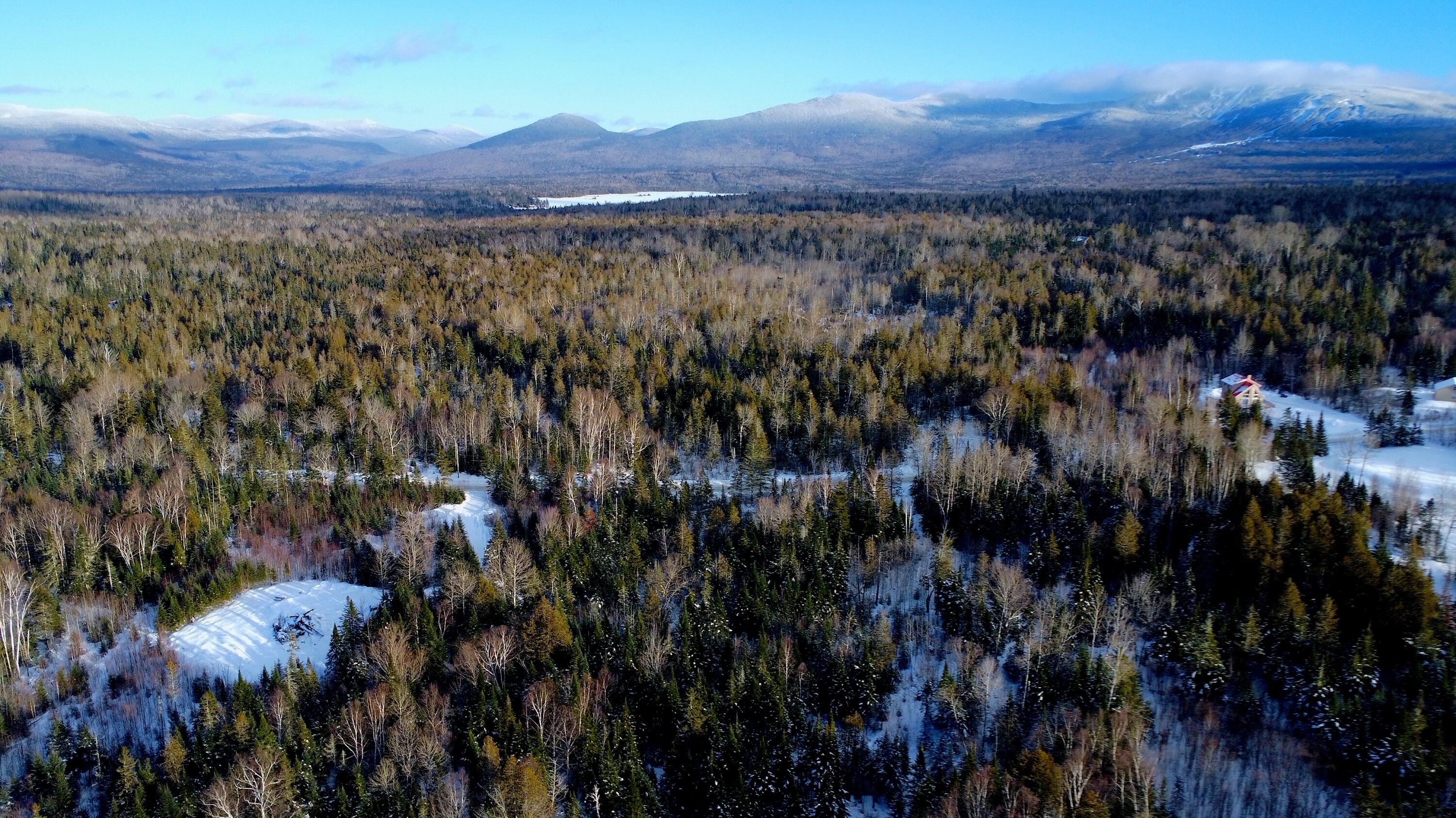 620 Dallas Hill Road