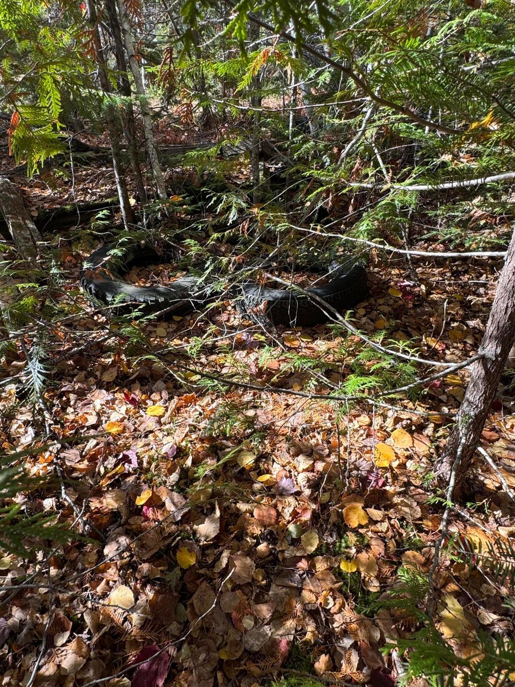 Photo of Lot 3A West Old Main Road, Lowell, ME 04493 (MLS # 1641523)