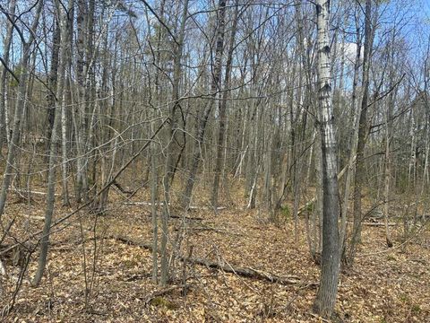Photo of Lot 2-7 Prospect Street, Wilton, ME 04294 (MLS # 1660676)