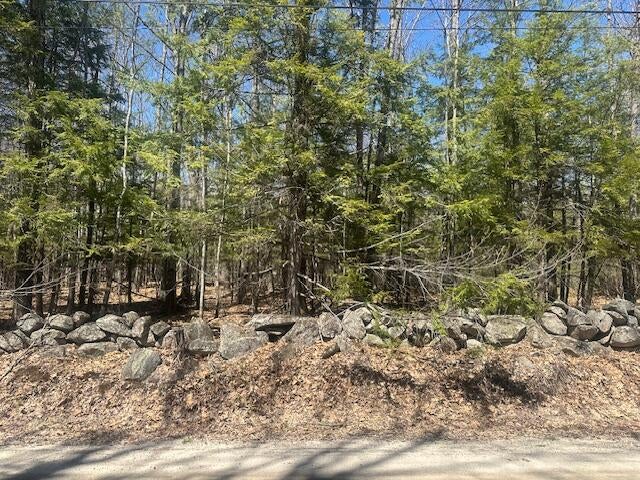 Photo of TBD Whitney Road, Bridgton, ME 04009 (MLS # 1660173)