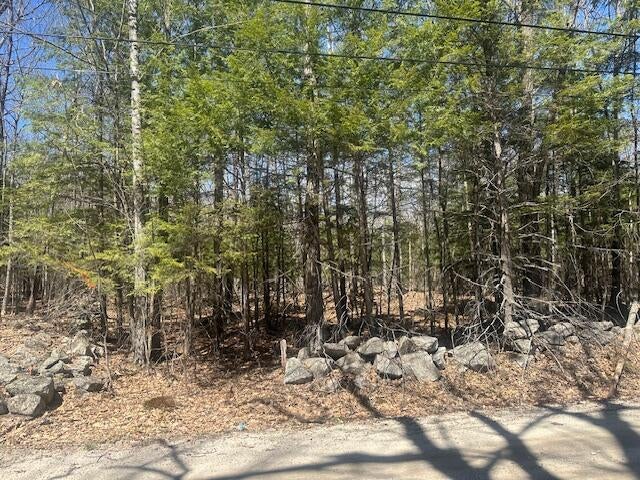 Photo of TBD Whitney Road, Bridgton, ME 04009 (MLS # 1660173)