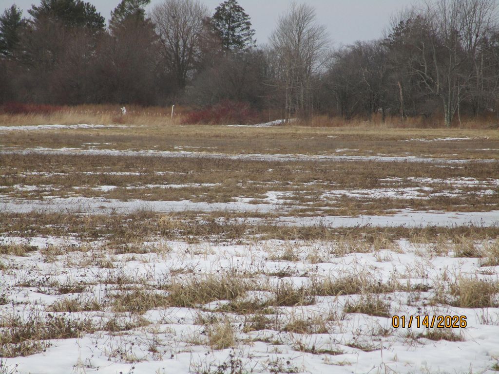 Photo of Bangor, ME 04401 (MLS # 1651351)