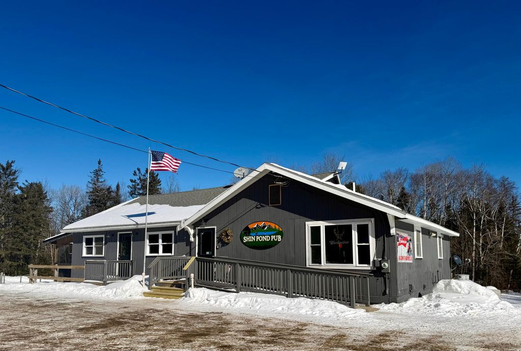 Photo of 1149 Shin Pond Road, Mount Chase, ME 04765 (MLS # 1658852)
