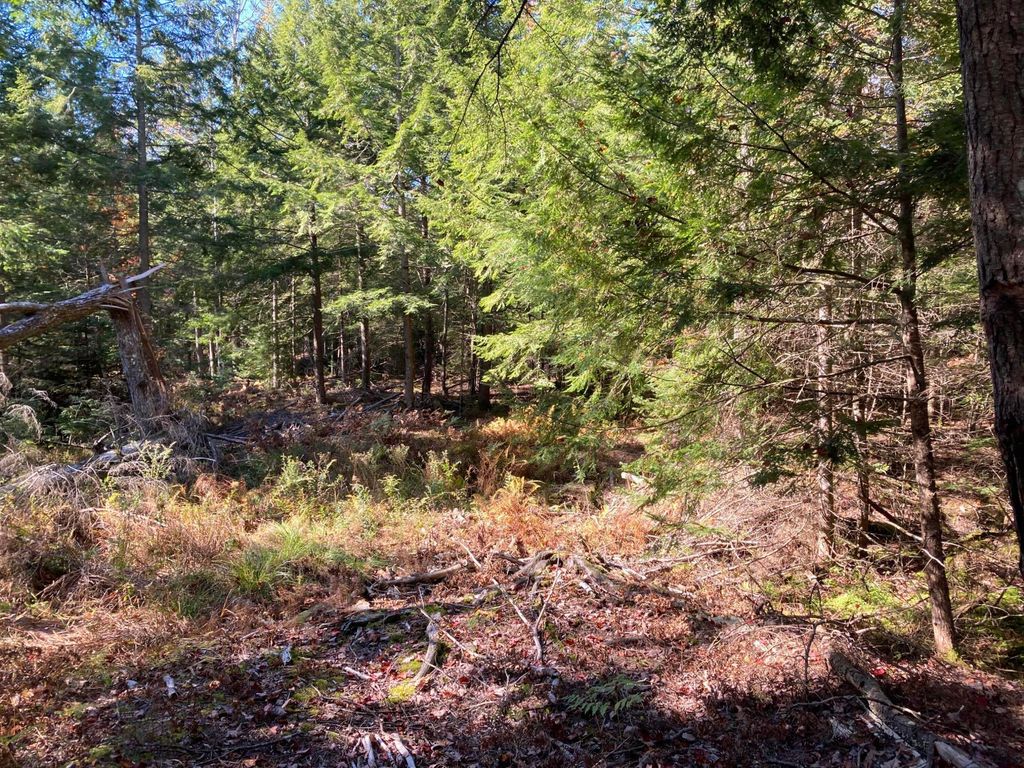 Photo of Topsham, ME 04086 (MLS # 1663064)