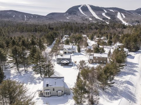 Photo of 9 Crosby Lane #1, Newry, ME 04261 (MLS # 1643246)