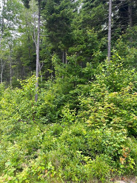 Photo of Lot 44 Estates Road, Steuben, ME 04680 (MLS # 1654672)