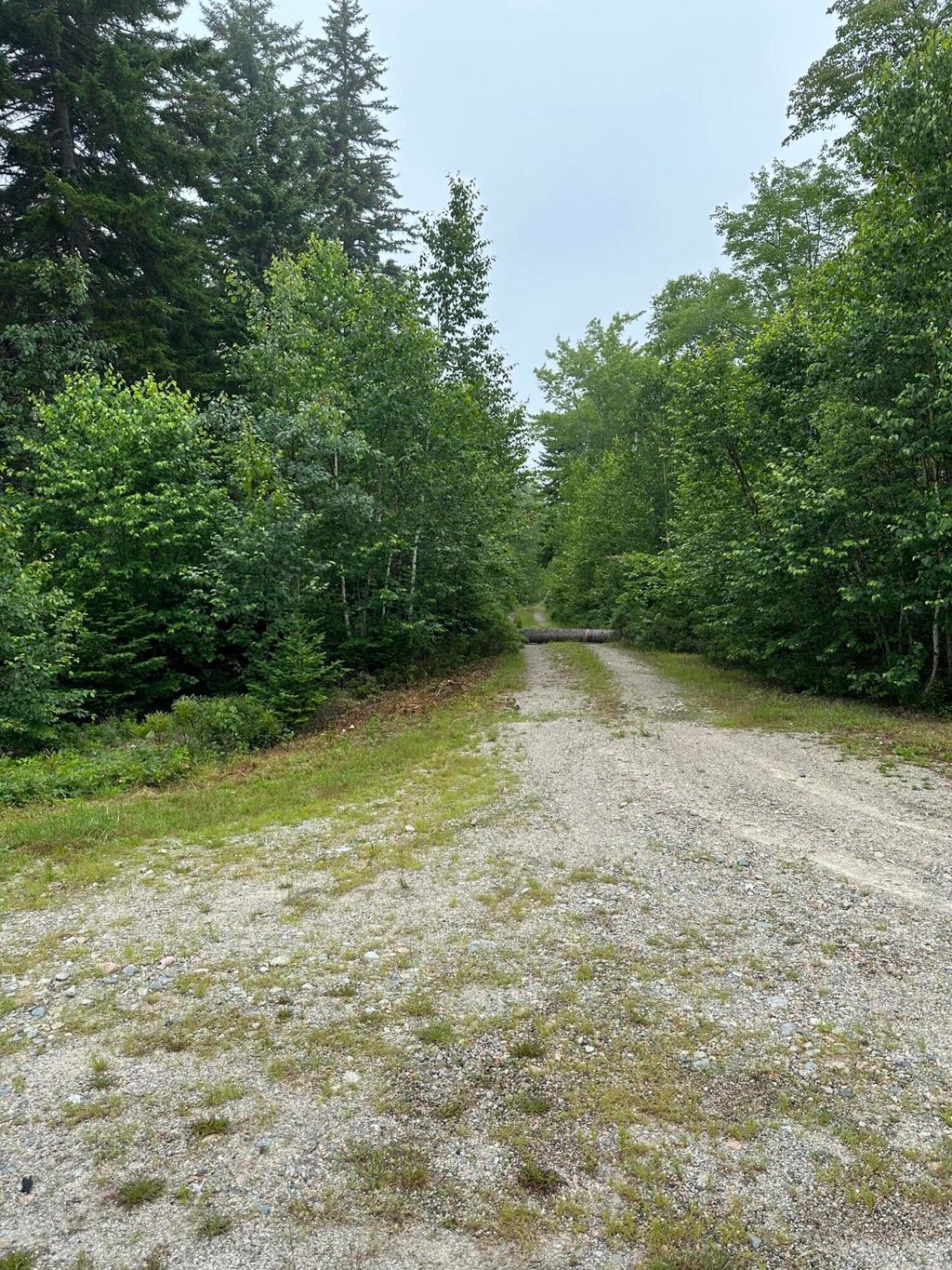 Photo of Lot 44 Estates Road, Steuben, ME 04680 (MLS # 1654672)