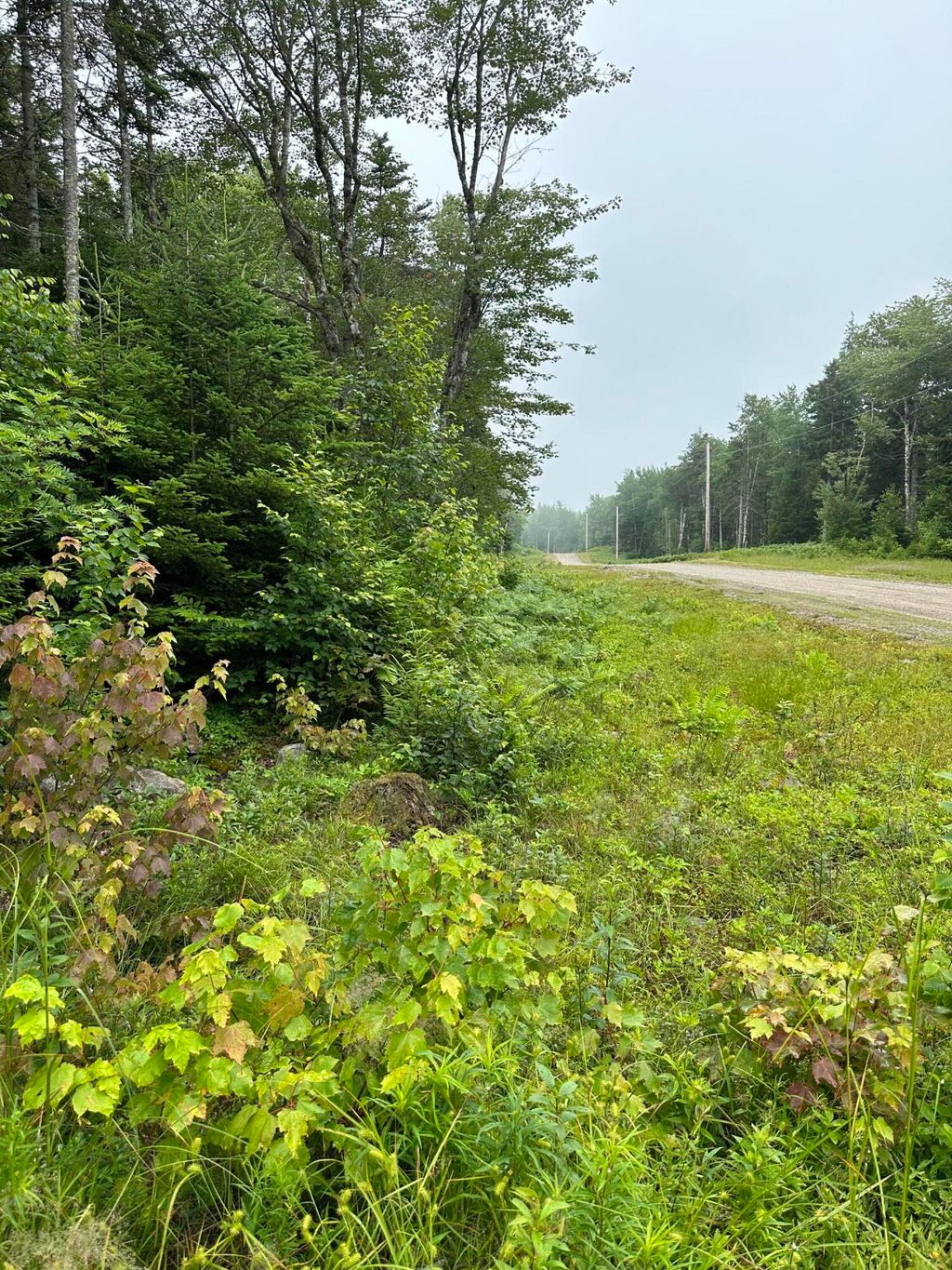 Photo of Lot 44 Estates Road, Steuben, ME 04680 (MLS # 1654672)