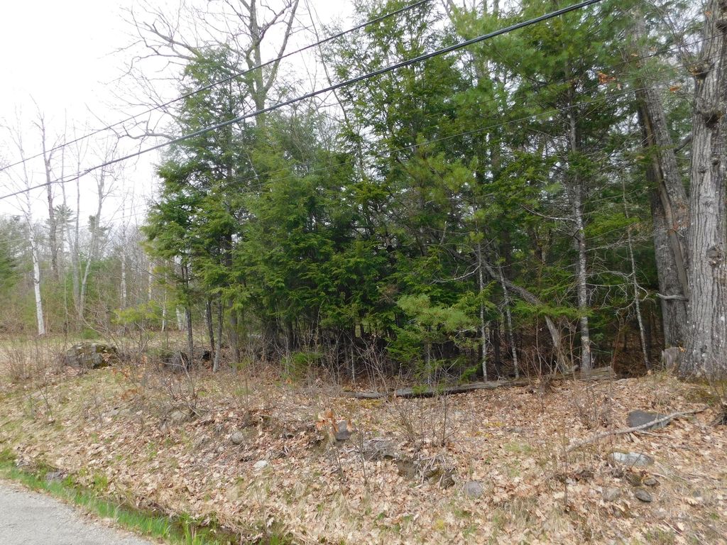 Photo of 180 Chemo Pond Road, Eddington, ME 04428 (MLS # 1660552)
