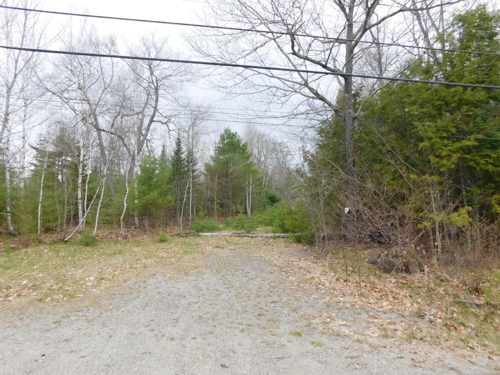 Photo of 180 Chemo Pond Road, Eddington, ME 04428 (MLS # 1660552)
