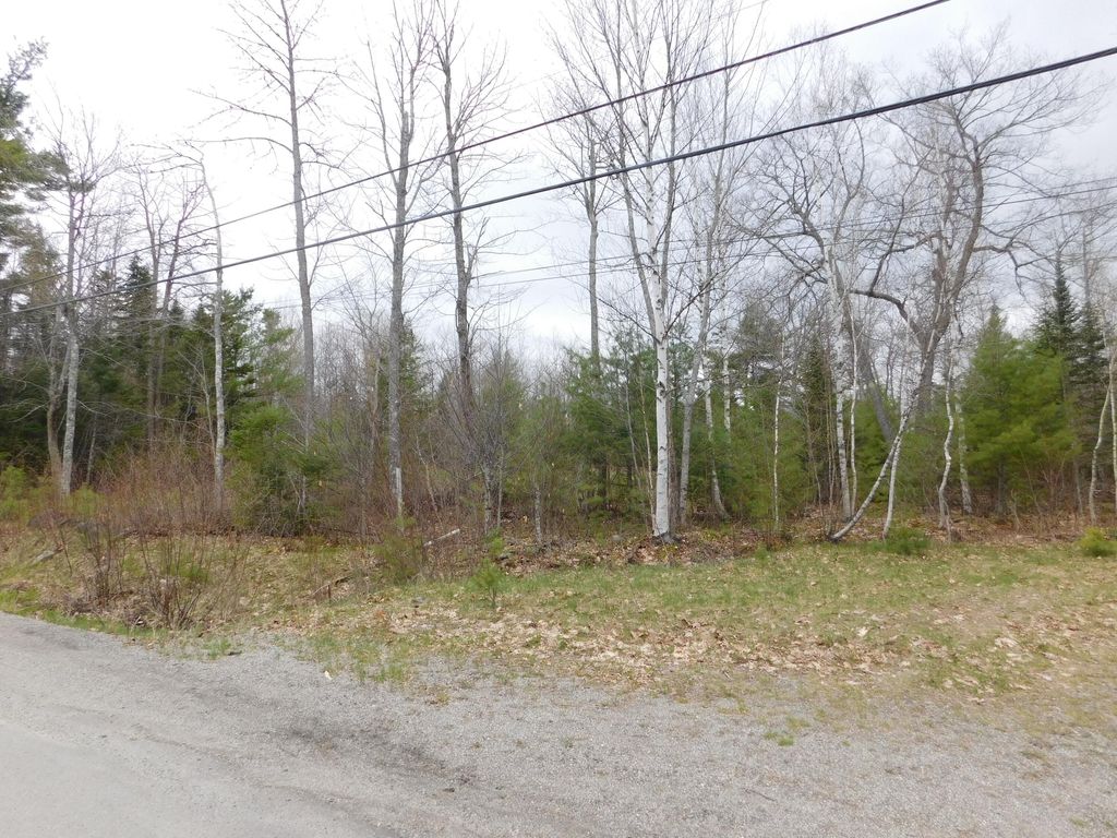 Photo of 180 Chemo Pond Road, Eddington, ME 04428 (MLS # 1660552)