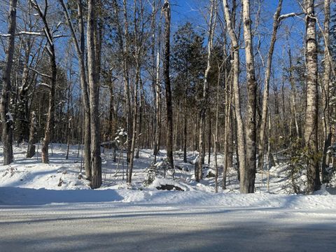Photo of Lot 7 Curtis Farm Road, Lincoln, ME 04457 (MLS # 1646044)