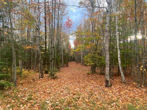 Photo of 5-7A East Road, Greenville, ME 04441 (MLS # 1641866) Photo of 5-7A East Road, Greenville, ME 04441 (MLS # 1641866)
