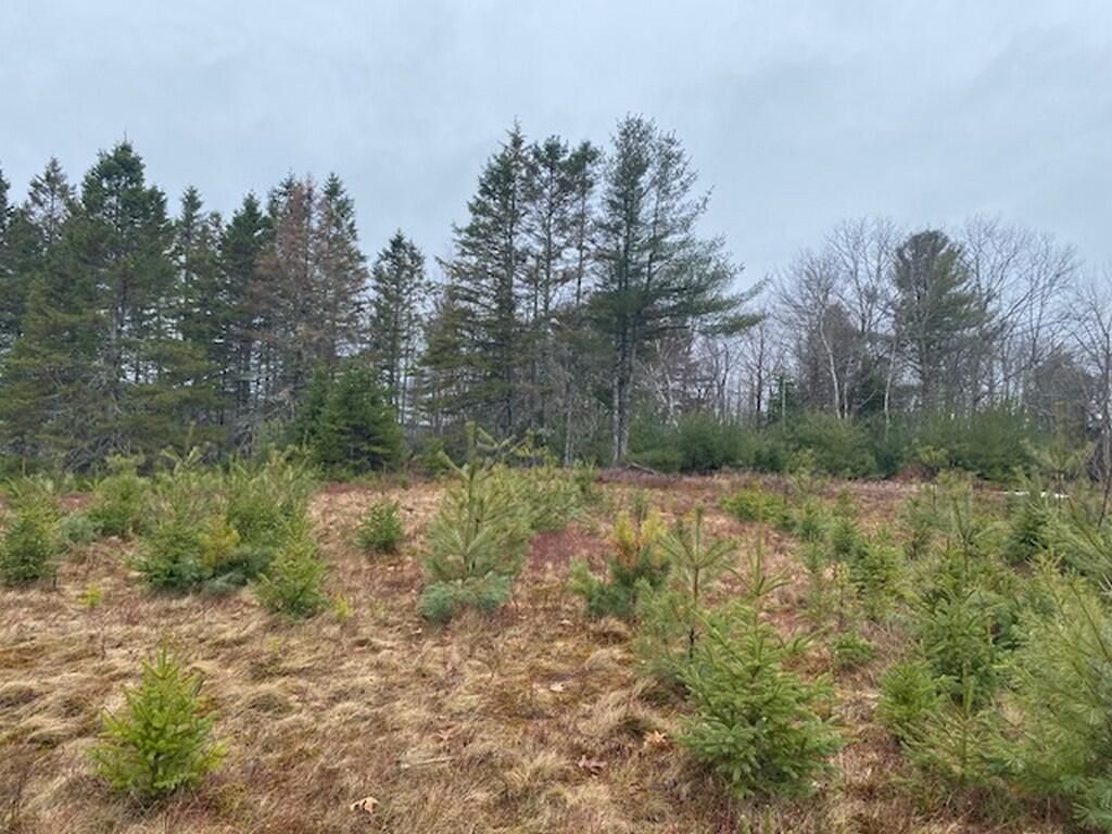 Photo of Lot 5 Copeland Hill Road, Holden, ME 04429 (MLS # 1656357)