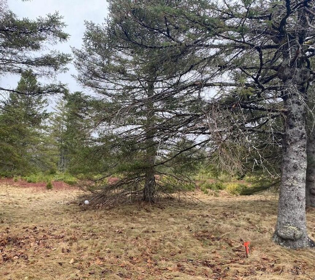 Photo of Lot 5 Copeland Hill Road, Holden, ME 04429 (MLS # 1656357)