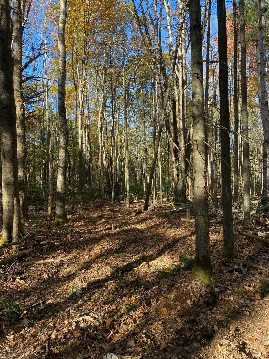 Photo of TBD Log Cabin Road, Kennebunkport, ME 04046 (MLS # 1648713)