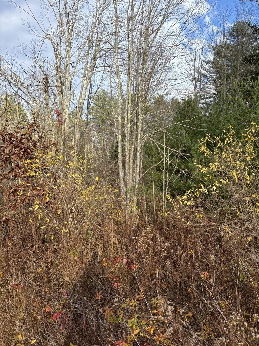 Photo of TBD Log Cabin Road, Kennebunkport, ME 04046 (MLS # 1648713)