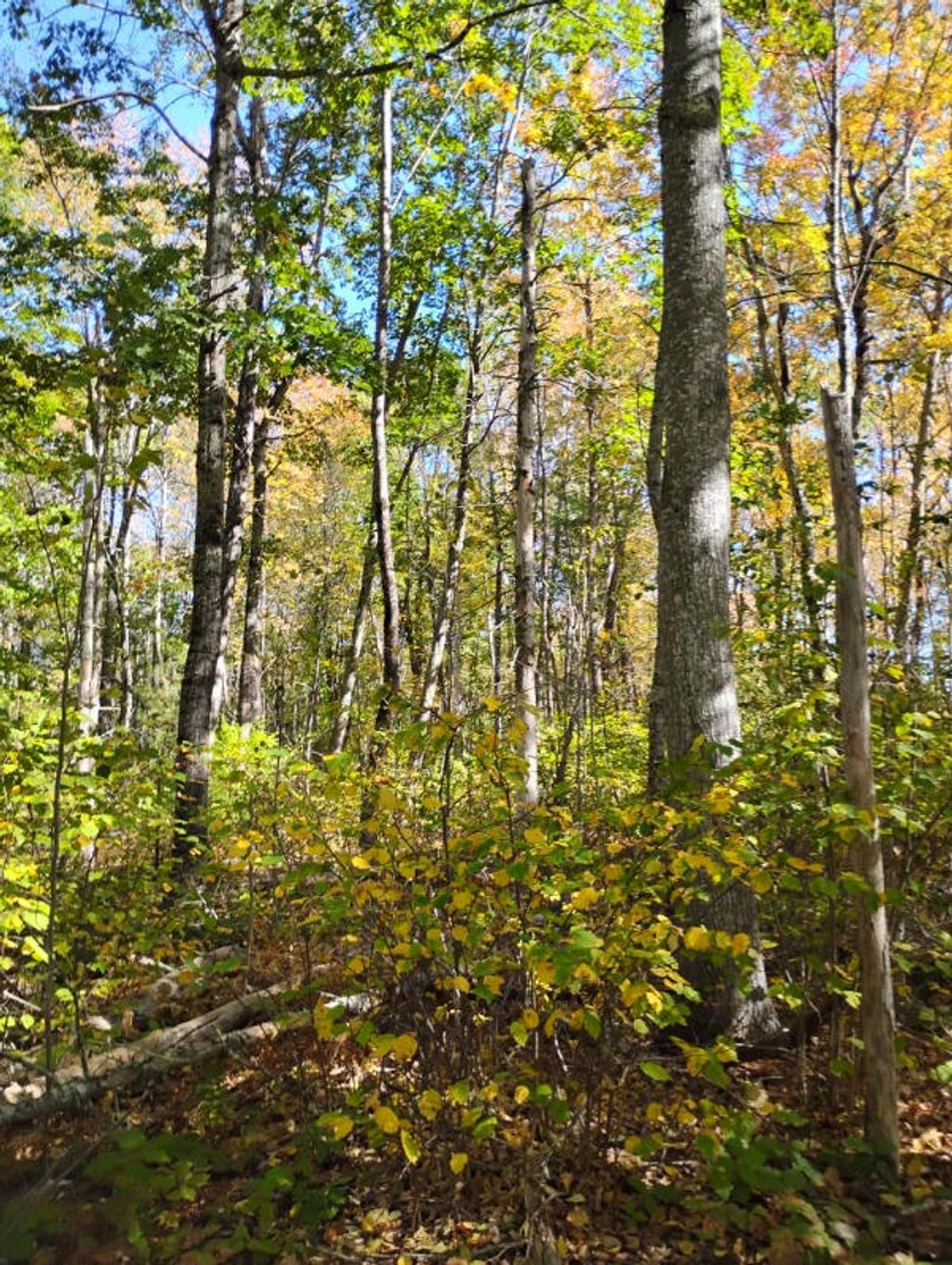 Photo of 1 Bicknell Road, Belmont, ME 04952 (MLS # 1639749)