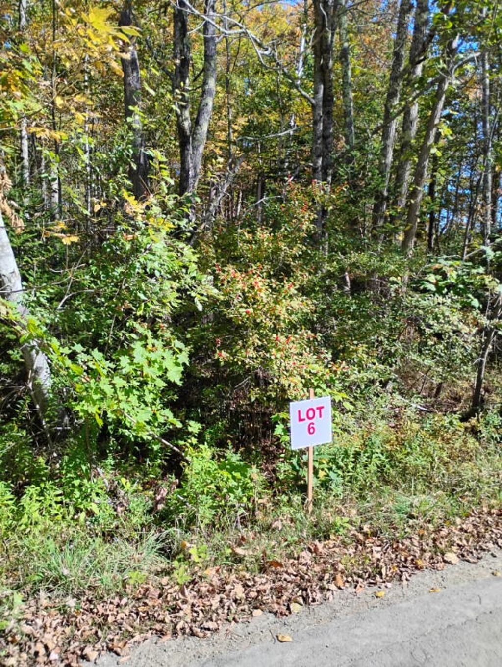 Photo of 1 Bicknell Road, Belmont, ME 04952 (MLS # 1639749)