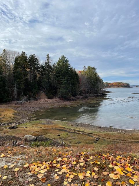 Photo of M16L10 River Road, Calais, ME 04619 (MLS # 1642262)