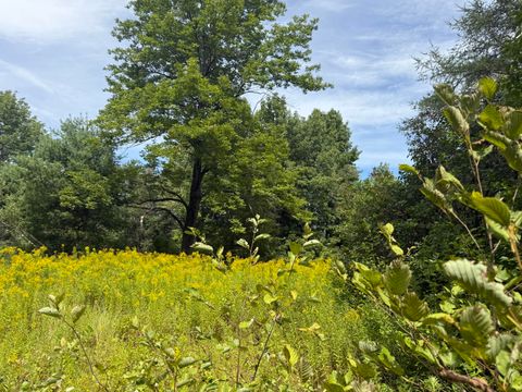 Photo of Lot 14 Dead River Road, Bowdoin, ME 04287 (MLS # 1649171)