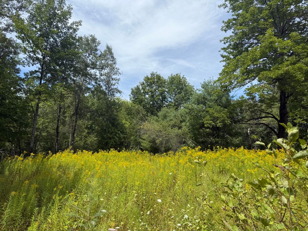 Photo of Lot 14 Dead River Road, Bowdoin, ME 04287 (MLS # 1649171)