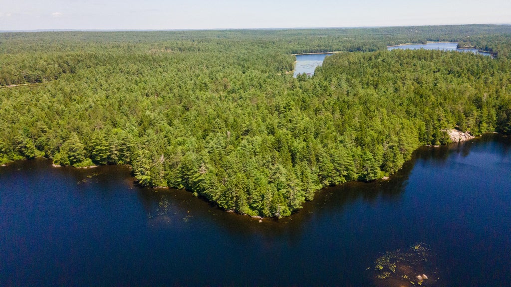 Photo of Lot 23 Northfield Road, Marshfield, ME 04654 (MLS # 1654948)