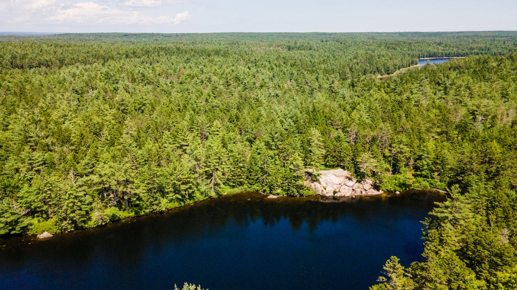 Photo of Lot 23 Northfield Road, Marshfield, ME 04654 (MLS # 1654948)