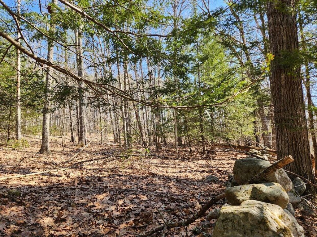 Photo of 24 Palmer Hill Road, Nobleboro, ME 04555 (MLS # 1659735)
