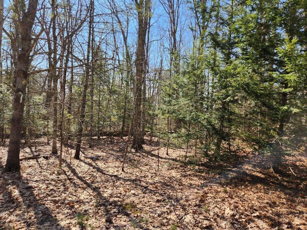 Photo of 24 Palmer Hill Road, Nobleboro, ME 04555 (MLS # 1659735)