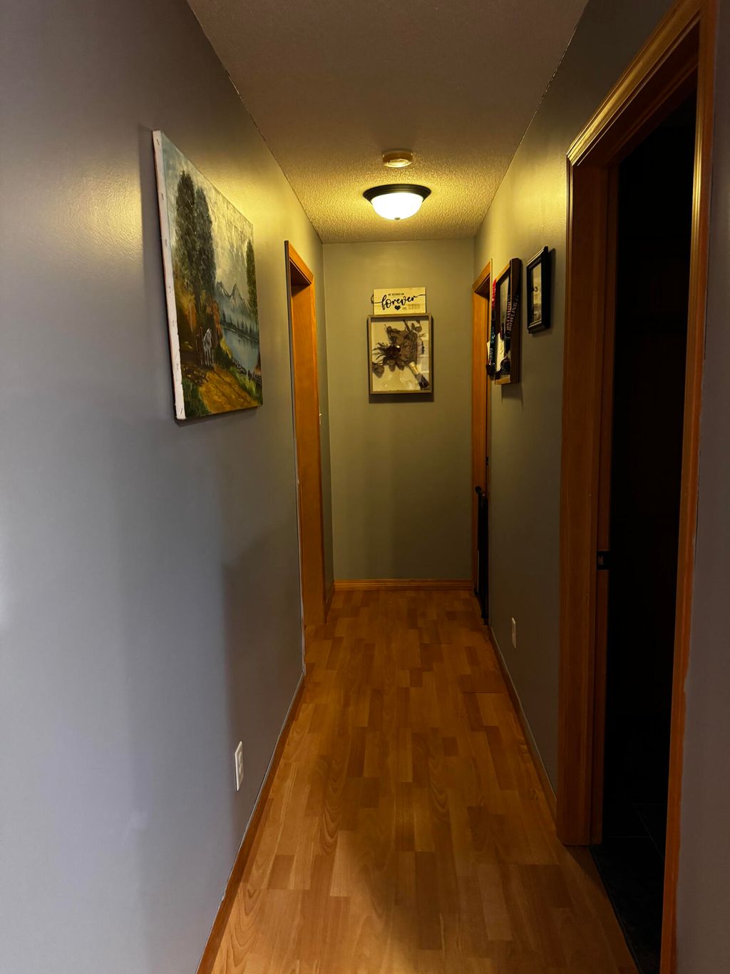 Photo of 111 Barker Road, Bethel, ME 04217 (MLS # 1640624)