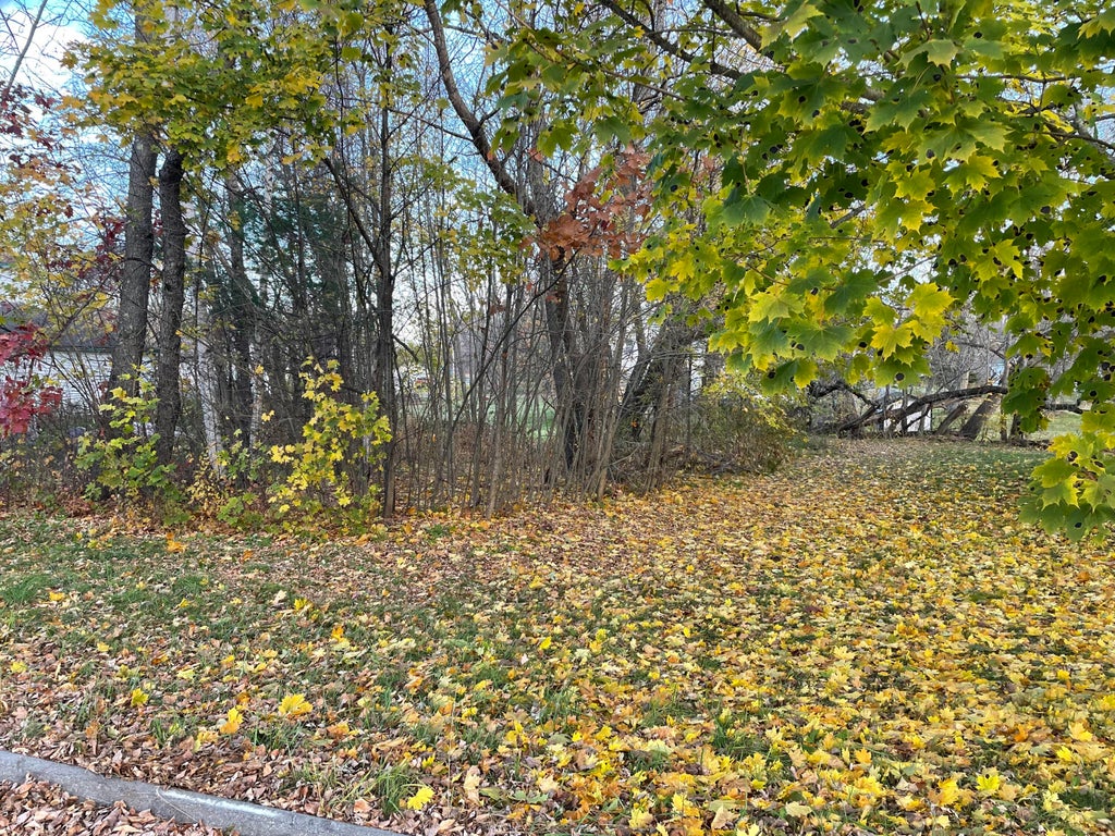 Photo of 34 Waverly Avenue, Pittsfield, ME 04967 (MLS # 1643009)