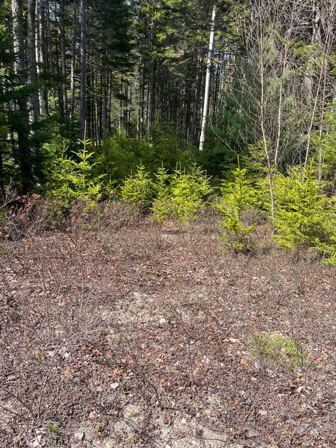 Photo of 37 Missy Way, Steuben, ME 04680 (MLS # 1661257)