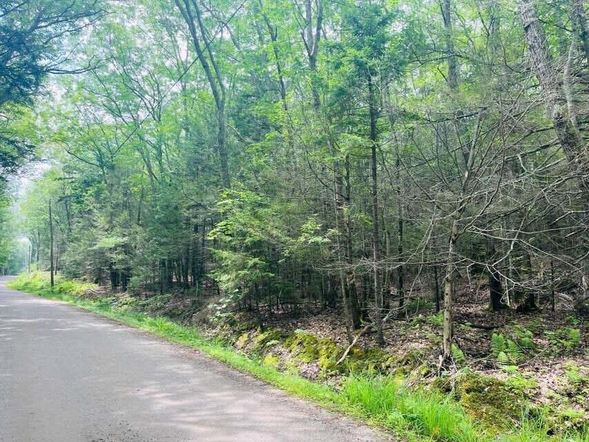 Photo of Map1 lot57 West side of Main Road, Westport Island, ME 04578 (MLS # 1655363)