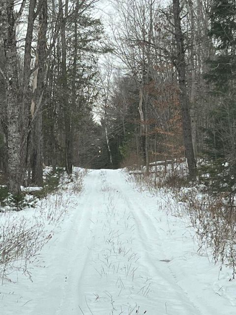 Photo of M4L3,5 Fickett Road, Etna, ME 04434 (MLS # 1647601)