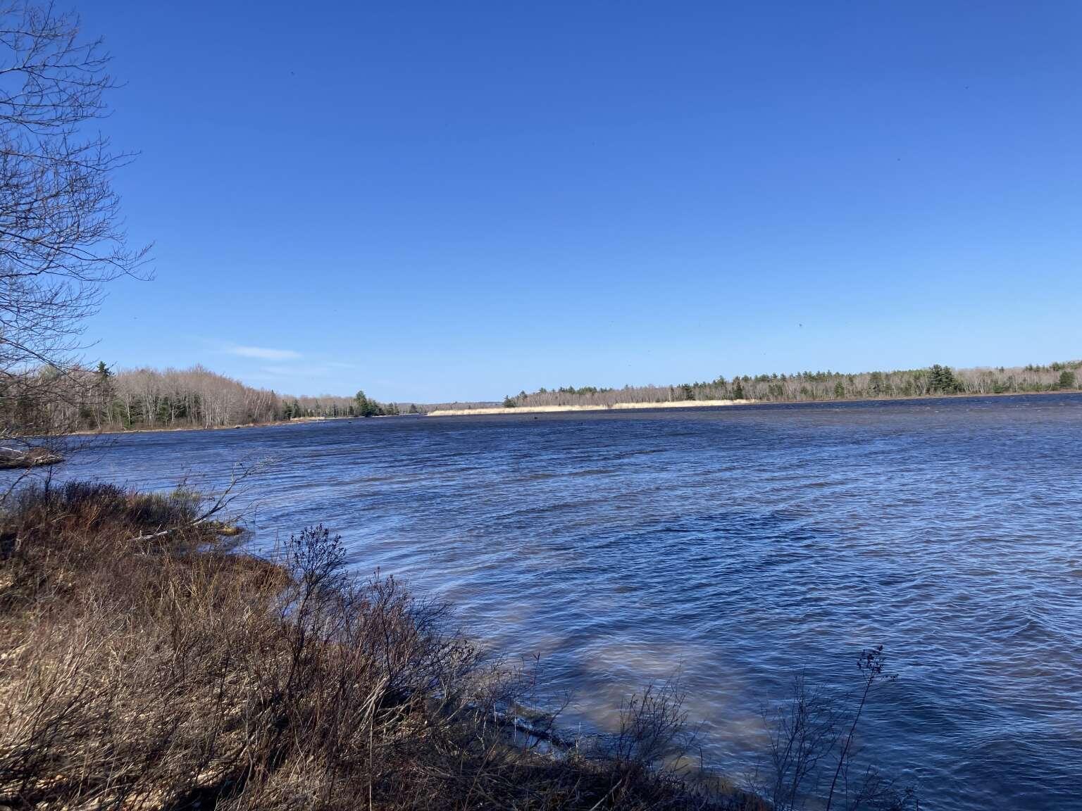 241 Tannery Brook Road