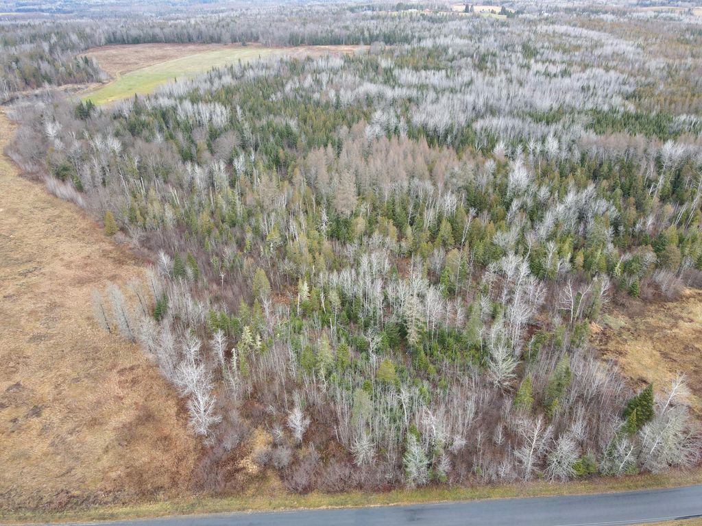 Photo of 481 Plante Road, Caribou, ME 04736 (MLS # 1644363)