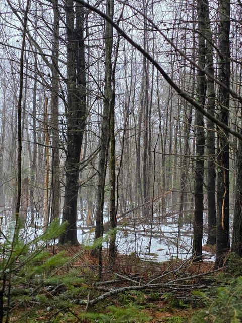 Photo of 00 Harriman Road, Swanville, ME 04915 (MLS # 1654750)